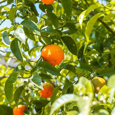 Horizon 아파트호텔